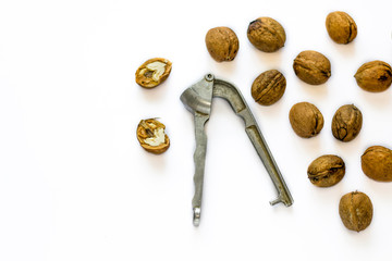 Walnuts and stainless steel orocholic on white background isolated.