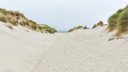 Strandzugang zwischen den Dünen