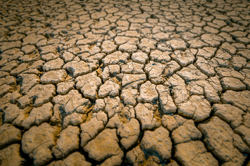 The silt, clay covered with deep cracks during low tide at sea. Tilt-shift