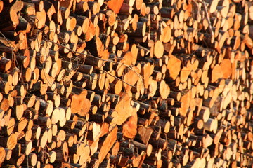 bois entassé