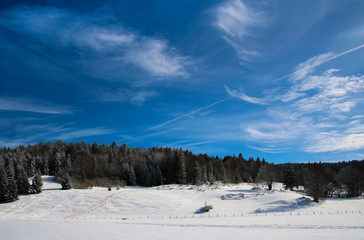 Paysage du Jura enneig&eacute;