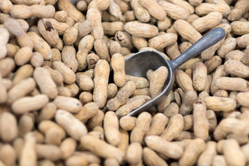 Close-up crop of roasted peanuts as a food backdrop composition