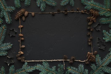 Christmas background with fir tree and cones