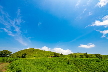 夏の平尾台【福岡県北九州市】