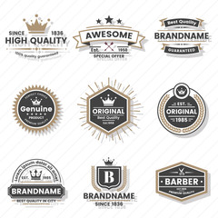 Vintage Retro Vector Logo for banner