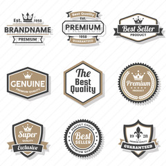 Vintage Retro Vector Logo for banner