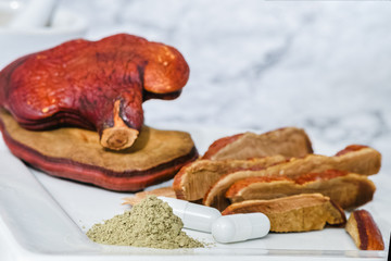Capsule and powder of Lingzhi Mushroom Ganoderma Lucidum on for herbal medicine Real Mushrooms