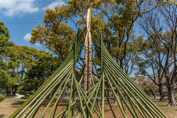 Artistic Bamboos in Japanese Garden
