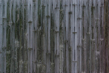 Japanese Traditional Bamboo Wall Textures