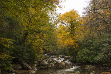 Fall Valley River with Trees 