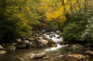 Fall Valley River with Trees 