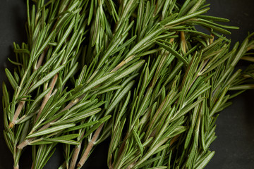 Bach of fresh rosemary branches.