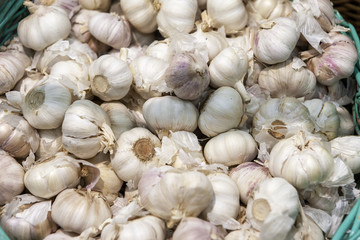 Freshly picked garlic in azure basket on market.