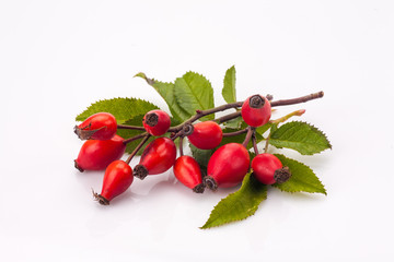 rose hip isolated
