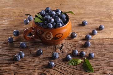 Sloes in bowl