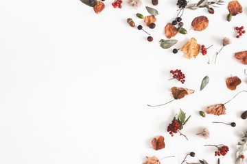 Autumn composition. Frame made of eucalyptus branches, rose flowers, dried leaves on white background. Autumn, fall concept. Flat lay, top view, copy space