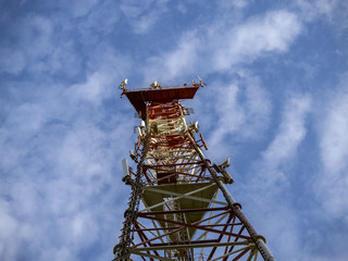 Radio tower Krasnaya Polyana Sochi
