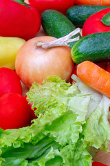 Vegetables: lettuce, onions, tomatoes, cucumbers, onions, carrots, red sweet peppers.