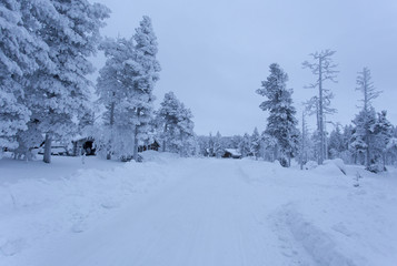 Cold winter in north of Finland