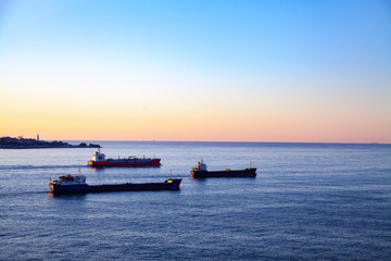 Tree ships sailing together
