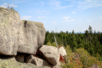 Harz mit Hohneklippe