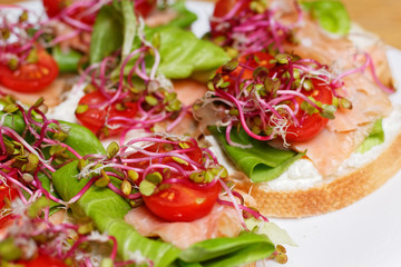 Fresh homemade sandwiches with bread, lettuce, smoked salmon, coctail tomato, white cheese and sprouts prepared to house party