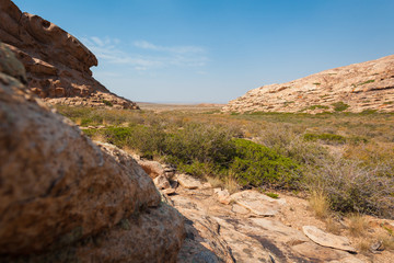The extinct volcano of Bektau-Ata and a plant on a rock in the Asian desert