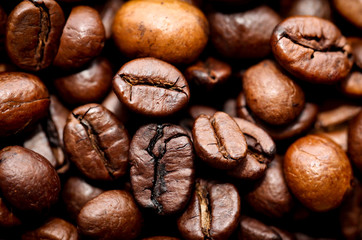 Kaffeebohnen