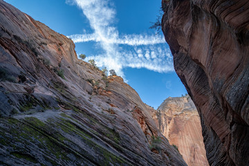 Looking up to the blue sky with clouds in the canyon along Observation Point trail in Zion National Park