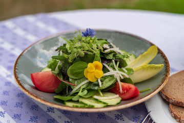 Frischer Markt gemischter Salat mit Blumen und Kräutern im Biergarten serviert