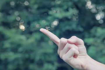Firefly on a child's finger