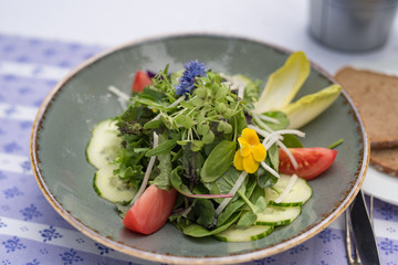 Frischer Markt gemischter Salat mit Blumen und Kräutern im Biergarten serviert