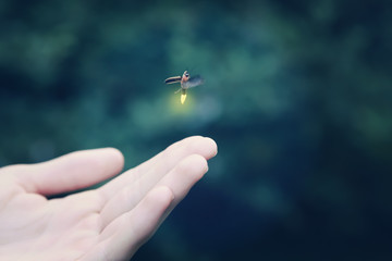 Firefly flying away from a child's hand