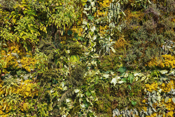 Green and gold plant wall background