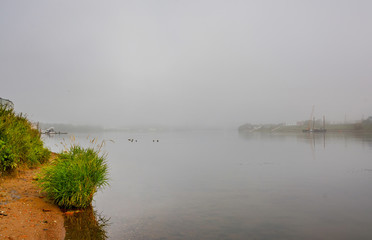 Foggy autumn morning.