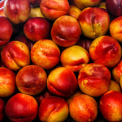 organic fruit nectarine sale on the farm market. many nectarines.м