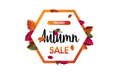 Autumn sale background with leaves vector illustration