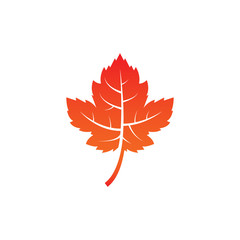Fototapeta premium Autumn leaf maple icon