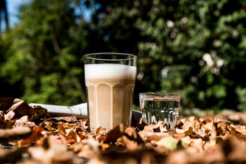 Cappuccino im Herbstlaub