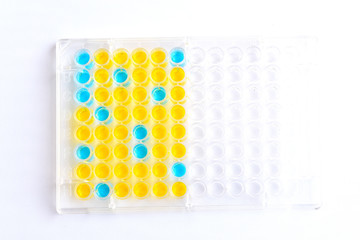 Enzyme-linked immunosorbent assay (ELISA) plate, Immunology testing method in laboratory