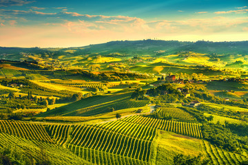 Langhe vineyards sunset panorama, Grinzane Covour, Piedmont, Italy Europe.