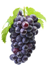Grapes on a white background