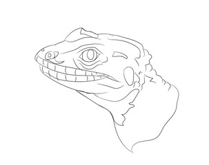 portrait of a lizard, lines, vector