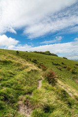 A pathway in the South Downs, near Firle Beacon