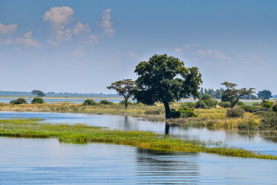 Chobe River in Botswana
