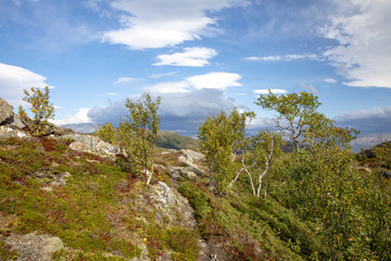 Fototapeta na wymiar Wanderlust in the mountains of Bronnoy municipality Northern Norway