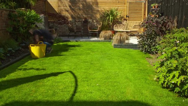Landscape gardening lawn mowing