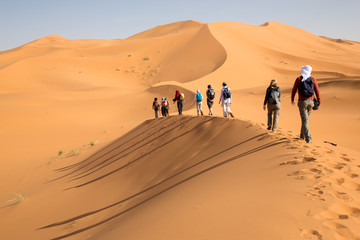 Fototapeta na wymiar Group of people walking on sand dunes