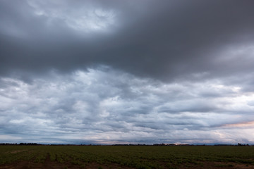 Green field under dark cloudy sky