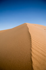 Ridge of sand dune